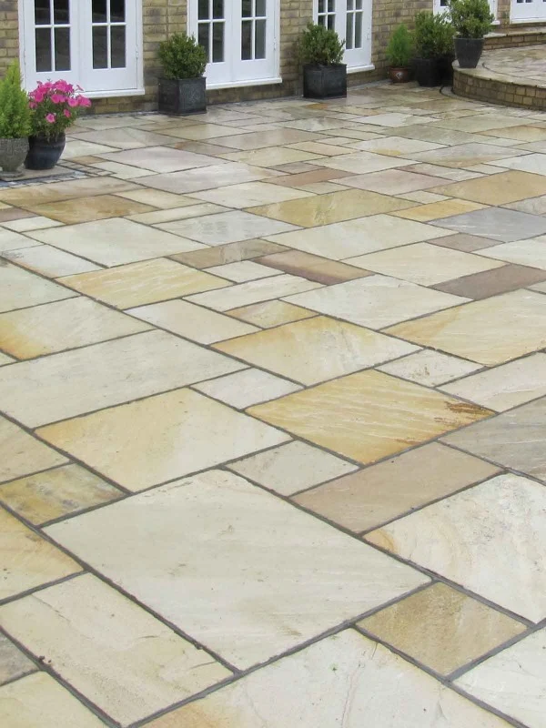 Fossil Mint Sandstone — view 3