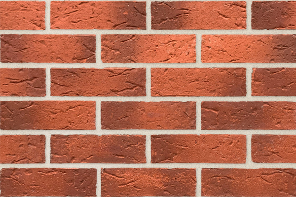 Tamworth Red Multi