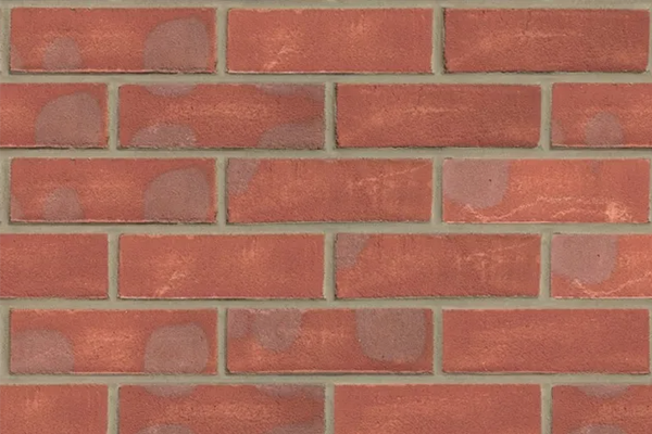 Milton Red Multi