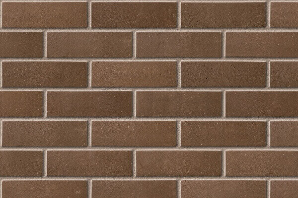 Cheddar Brown