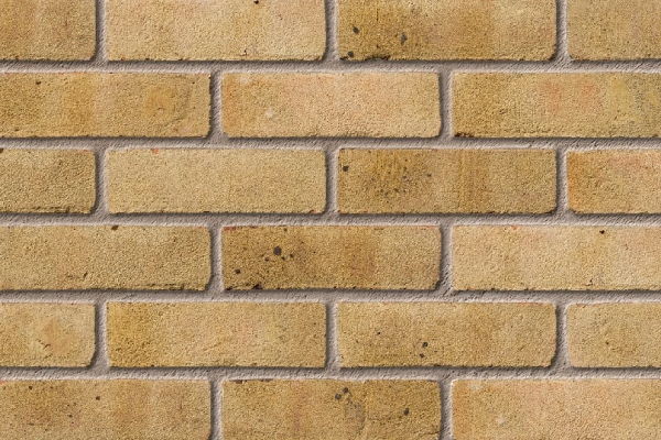Laybrook Yellow