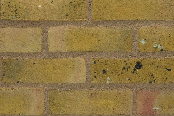 Docklands Yellow Multi