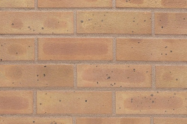Sandalwood Yellow Multi