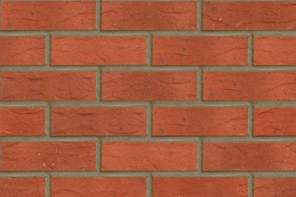 Clumber Red