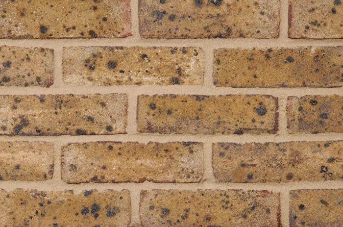 Danehill Yellow